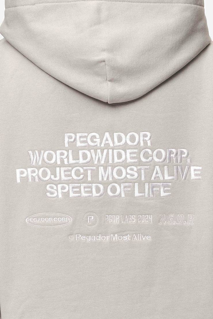 Pegador Sora Oversized Hoodie Washed Moon Grey Speichern exportieren