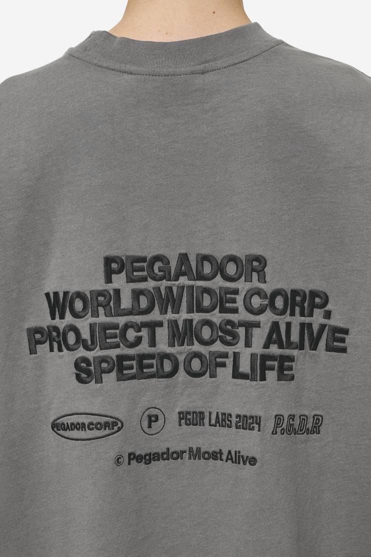 Pegador Sora Heavy Oversized Tee Washed Deep Grey Black Friday Preise