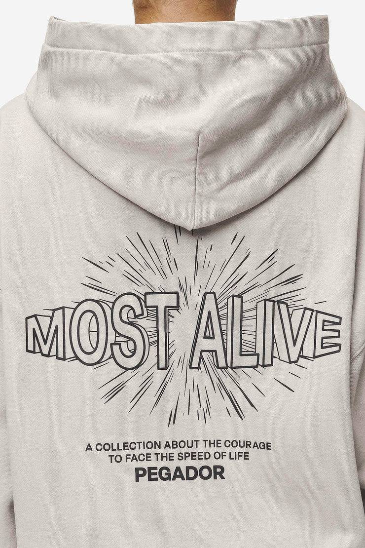 Pegador Nisa Oversized Hoodie Washed Moon Grey Outlet