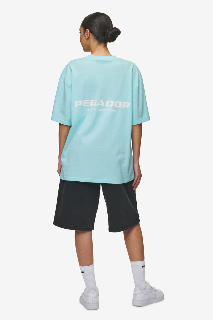 Pegador Colne Logo Oversized Tee Washed Sky Blue White Preisnachlass