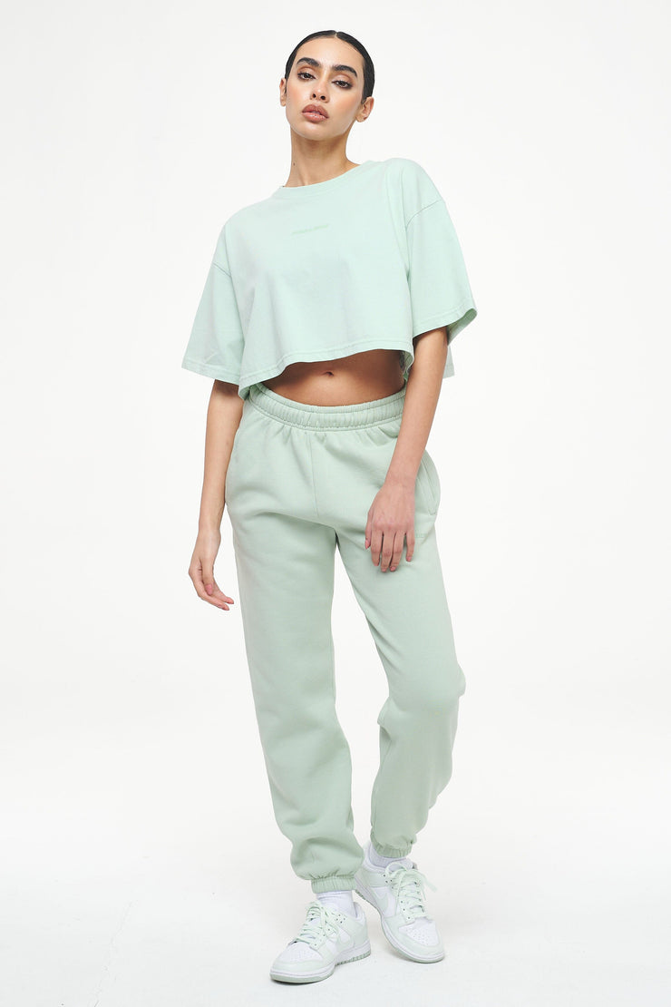 Pegador Layla Oversized Cropped Tee Vintage Washed Milky Green Gum Im Verkauf
