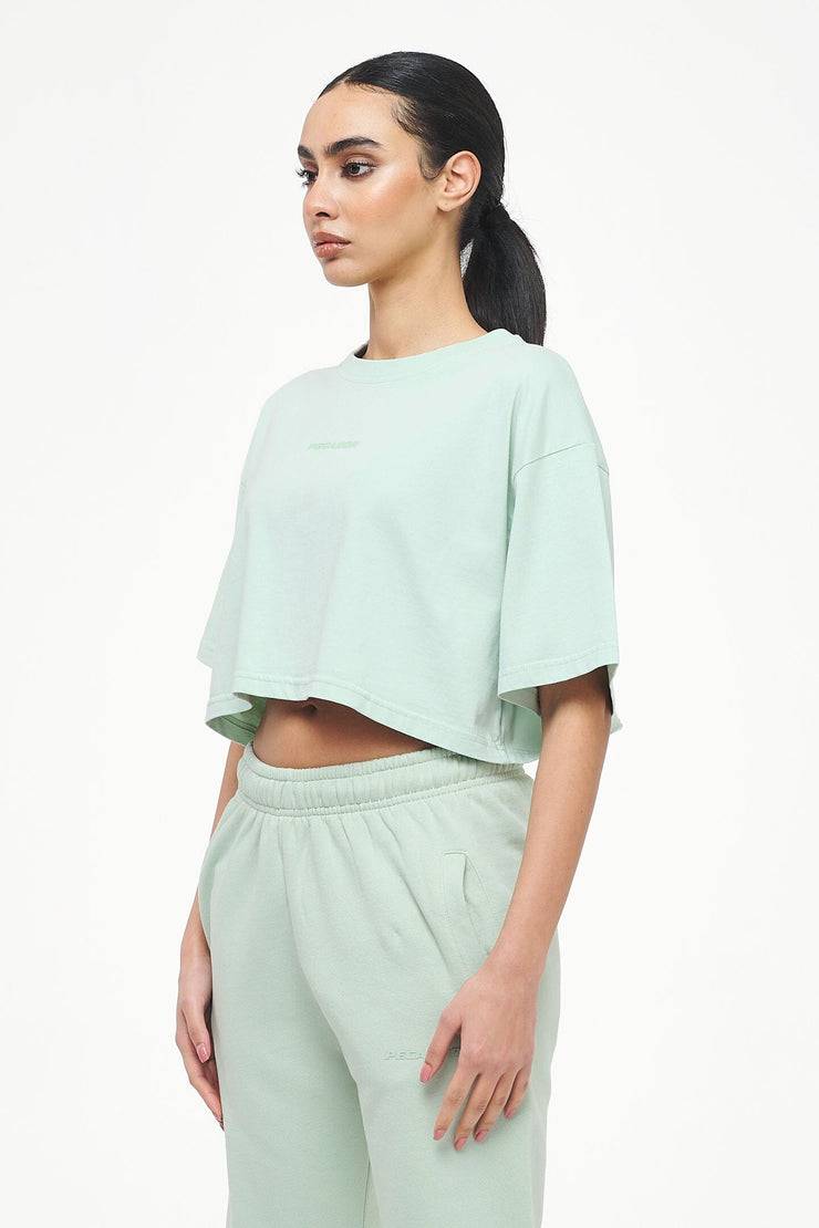 Pegador Layla Oversized Cropped Tee Vintage Washed Milky Green Gum Im Verkauf