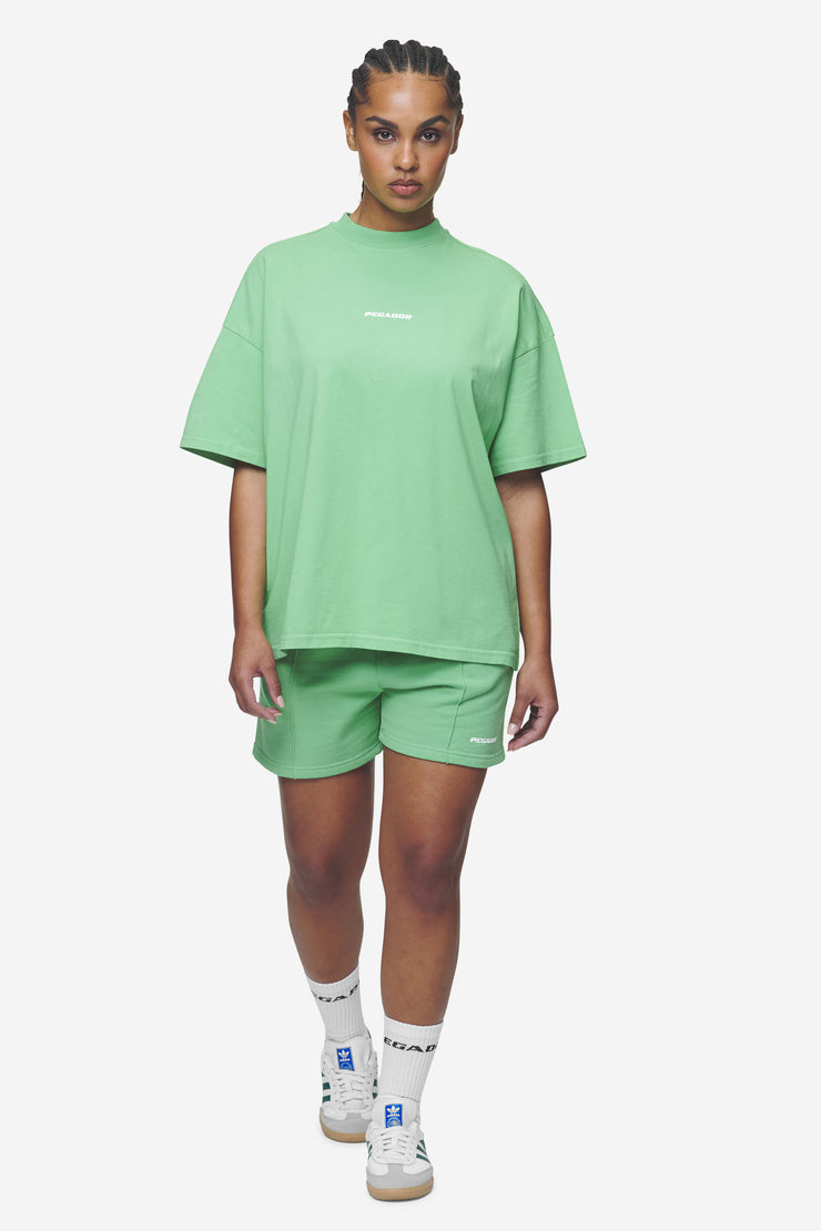 Pegador Bracy Heavy Oversized Tee Washed Peppermint Green White Gum 2025