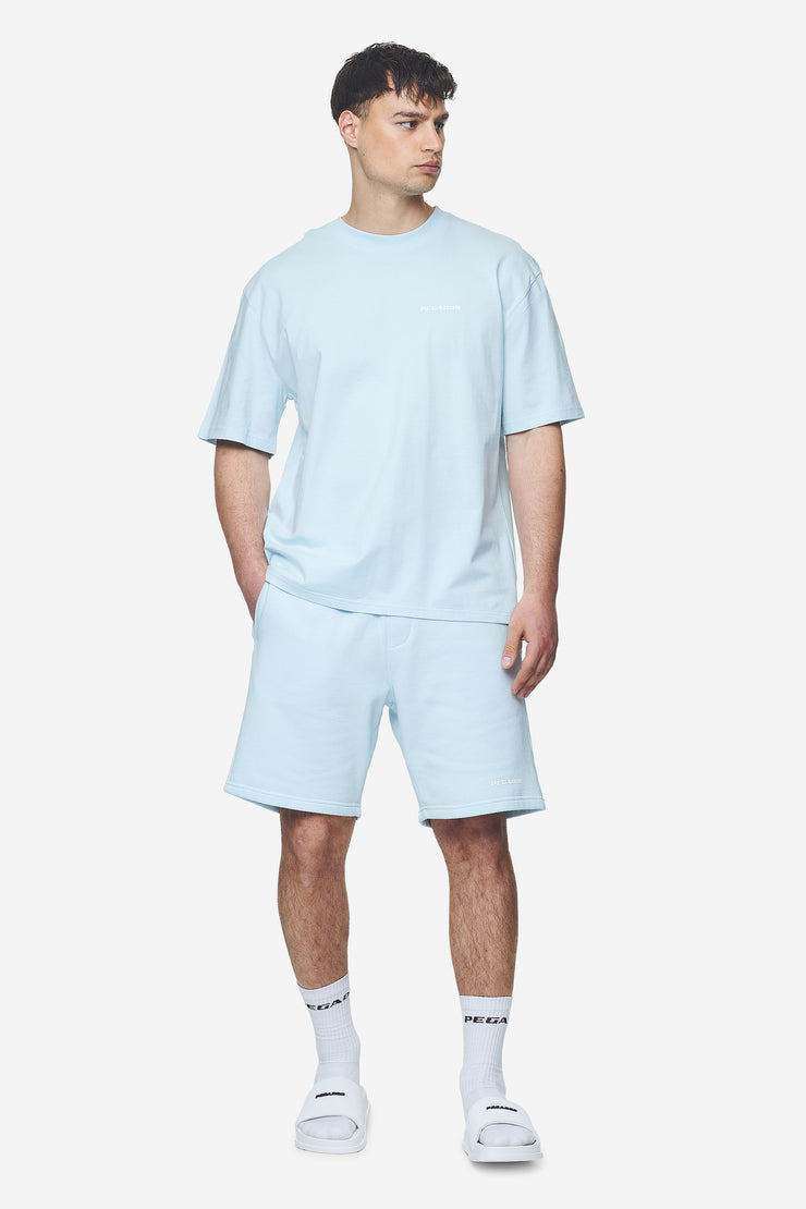 Pegador Logo Oversized Tee Washed Baby Blue White Gum Begrenztes Angebot