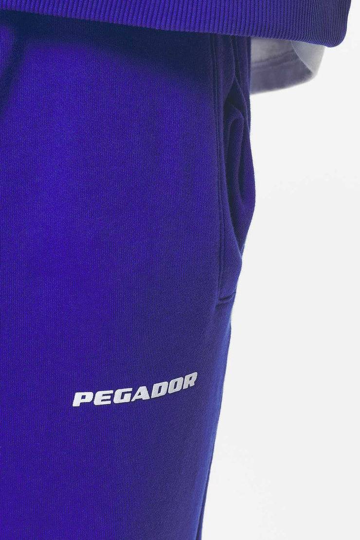 Pegador Logo Heavy Sweat Jogger Washed Endless Blue Gum Bis zu 65% Rabatt
