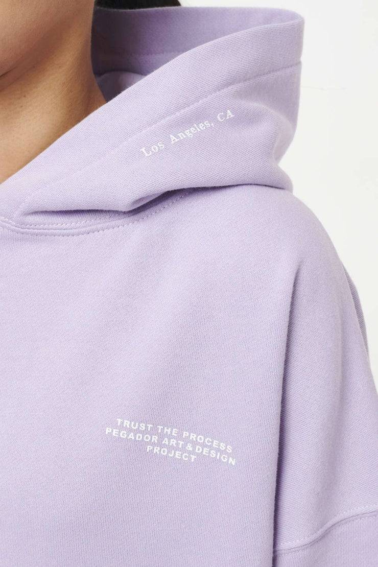 Pegador Mace Oversized Hoodie Vintage Washed Purple Paste Tiefpreis