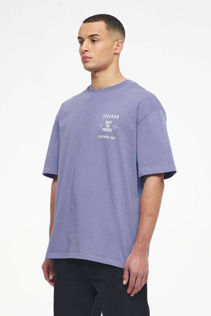 Pegador Salal Oversized Tee Vintage Washed Magic Violet 2025