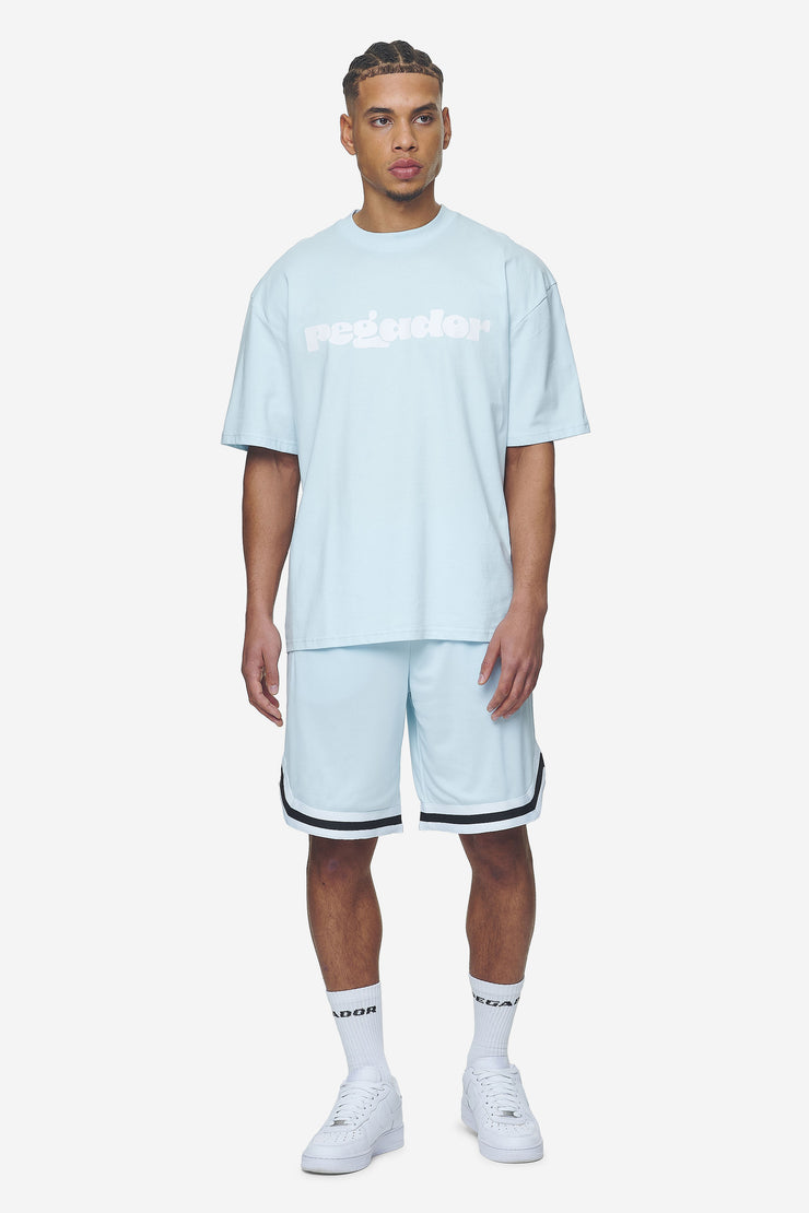 Pegador Lansing Basketball Shorts Baby Blue Letzter Tag