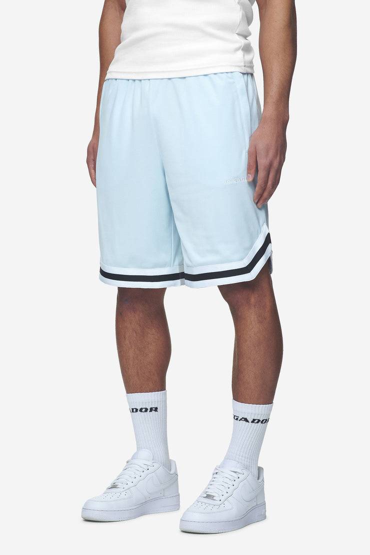 Pegador Lansing Basketball Shorts Baby Blue Letzter Tag