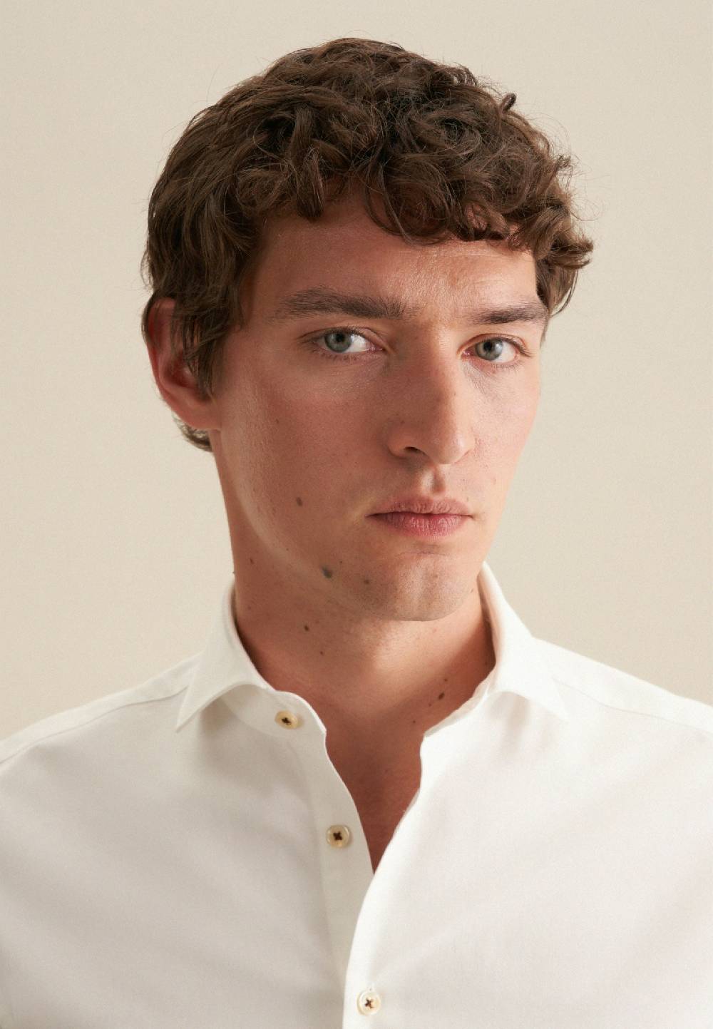 Studio Seidensticker Twill Casual Hemd in Slim mit Kentkragen Top Angebot